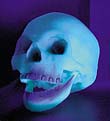 UV-active skull