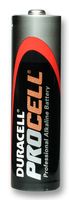 AA alkaline battery (each)